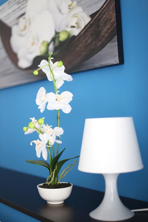 Iris Room Rome Luaran gambar